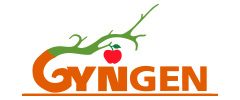 gyngenlogo